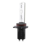 Bec Xenon 9006-6K - CARGUARD Best CarHome
