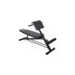 Bancă Hiperextensii inSPORTline ON-X RCB20 FitLine Training