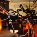 Păianjen 4 pcs Negru și alb 150 cm Poliester GartenMobel Dekor