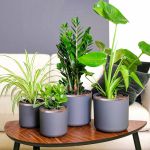 Bandă din cupru dublă față 6 pcs Cupru 2000 x 1 cm Cupru GartenMobel Dekor