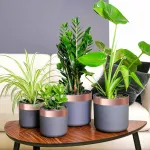 Bandă din cupru dublă față Cupru 2000 x 5 cm Cupru GartenMobel Dekor