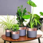 Bandă din cupru dublă față Cupru 2000 x 7 cm Cupru GartenMobel Dekor