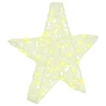 Stea 3D cu 50 LED Alb cald 55 x 53.5 x 10 cm Acril GartenMobel Dekor