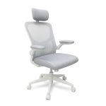 Leziter Scaun de birou ergonomic Flexo cu suport lombar Mobalis Homvera