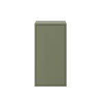 Leziter Dulap suspendat Boxie cu 1 ușă 80x40x37 cm verde Mobalis Homvera
