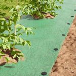 Pegs din plastic 500 pcs Negru 3 x 11 cm Plastic GartenMobel Dekor