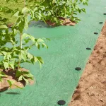 Pegs din plastic 500 pcs Negru 3 x 11 cm Plastic GartenMobel Dekor