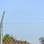 Sârmă ghimpată Argintiu 50 m GartenMobel Dekor