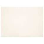 Covor din Blană Faux de Iepure Alb 200 x 280 cm Poliester GartenMobel Dekor