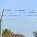 Sârmă ghimpată Verde 50 m Oțel galvanizat prin imersie la cald GartenMobel Dekor