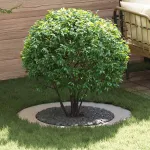 potrivit pentru inele de copac plat 5 pcs Argintiu Ø60 / 90 cm GartenMobel Dekor