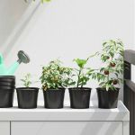 Vaza pentru flori 50 pcs Negru Ø 15 x 12.5 cm Plastic GartenMobel Dekor