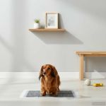 Pâtura de antrenament pentru animale de companie Simplu 400 pcs GartenMobel Dekor