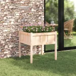 Vază pentru Grădină Natură 70 x 70 x 70 cm Lemn de pin masiv GartenMobel Dekor