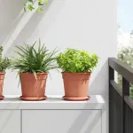Tavă rotundă pentru flori 6 pcs Roșu cărămidă Ø 14 x 2 cm GartenMobel Dekor