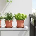 Tavă rotundă pentru flori 24 pcs Roșu cărămidă Ø 14 x 2 cm GartenMobel Dekor