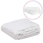 Copertină de rezervă pentru seră (18 m²), transparent, 3x6x2 m GartenMobel Dekor