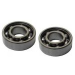 CSST18064 RULMENTI AMBIELAJ MS-180, Elefant Innovative ReliableTools