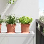 Ghivece pentru plante 6 pcs Roșu cărămidă Ø 17 x 14 cm Plastic GartenMobel Dekor