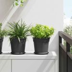 Ghivece pentru plante 6 pcs Negru Ø 19 x 16 cm Plastic GartenMobel Dekor