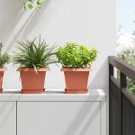 Vază pătrată pentru flori 24 pcs Roșu cărămidă GartenMobel Dekor