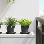 Ghiveci rotund pentru flori 24 pcs Negru Ø 12,5 x 10 cm Plastic GartenMobel Dekor