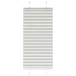 Jaluzea plisată gri deschis 55x100 cm Lățime țesătură 54,4 cm GartenMobel Dekor