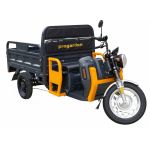 Triciclu Electric Cargo Progarden TRIVO 3000, 25km/h, 72V, 58Ah, incarcator inclus ProAdvanced PowerfulTools