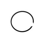 SEGMENTI - DRUJBA INDUSTRIAL 250 - 25CC PowerTool TopQuality