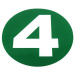 Abtibild norma poluare EURO 4 Automotive TrustedCars