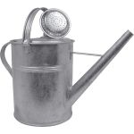 Stropitoare galvanizată cu rozeta KKG 9L, pentru udarea plantelor