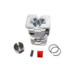 Set motor complet 43 mm pentru Yusen/Silen – Micul Fermier GF-0002