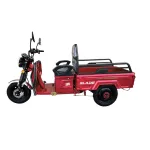 Triciclu electric cargo Blade Active R6 1300W, 500 kg, rosu-negru