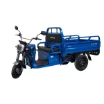Triciclu electric cargo Blade Sprint 3.0 2000W, 600 kg, albastru-negru