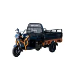 Triciclu electric cargo Blade Sprint 3.0 2000W, 72V 45Ah, 600 kg, negru-portocaliu