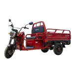 Triciclu electric cargo Blade Sprint 3.0 2000W, 72V 45Ah, 600 kg, rosu-negru