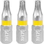 Set biți Torx TX20 Strend Pro pentru înșurubare precisă, 3 bucăți