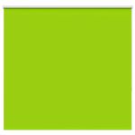 Jaluzea cu role opace 155x175 cm Lățime material 151,6 cm GartenMobel Dekor