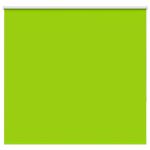 Jaluzea cu role opace 160x150 cm lățime material 156,6 cm GartenMobel Dekor