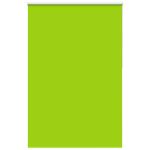 Jaluzea cu role opace 165x230 cm Lățime material 161,6 cm GartenMobel Dekor