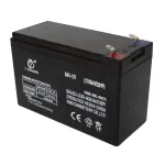 Acumulator 12V 8Ah pentru pompa de stropit Elefant, compact si fiabil