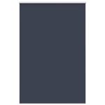 Jaluzea cu role opace 145x210 cm Lățime material 141,6 cm GartenMobel Dekor