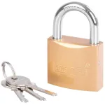 Lacat Strend Pro 50 mm auriu, pentru poarta/usa, cu 3 chei incluse