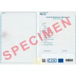 Carte de identitate a vehiculului (CIV) DZ-VE1005-G01 pentru evidență auto RAR