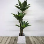 Planta artificială Dracaena fragrans 180 cm verde, realistă, fără ghiveci