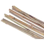 Set 10 araci din bambus 180 cm (12/14 mm) pentru sustinerea plantelor