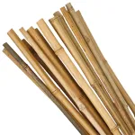 Tije din bambus pentru sprijin plante 60 cm, 8/10 mm, set 10 bucăți