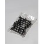 Set șuruburi pentru suport lemne de șemineu Homefire LR800