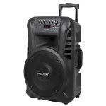 Sistem audio portabil Azusa 20W, 12 inch, Bluetooth, USB/SD, microfon wireless