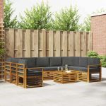 Seturi de canapele cu pernă 10 pcs Natural și Antracit GartenMobel Dekor